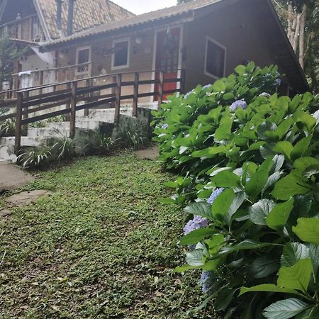 Casa Aconchegante Na Serra. Santo Antonio do Pinhal Luaran gambar