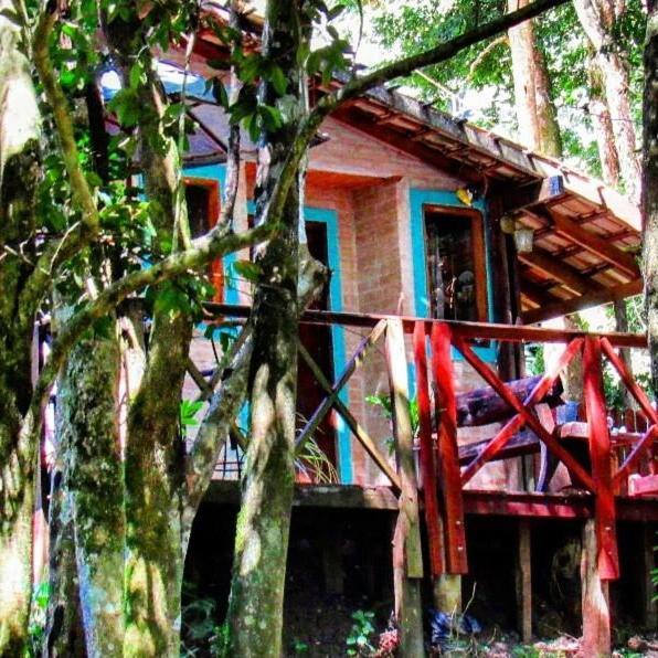 Casa Aconchegante Na Serra. Santo Antonio do Pinhal Luaran gambar